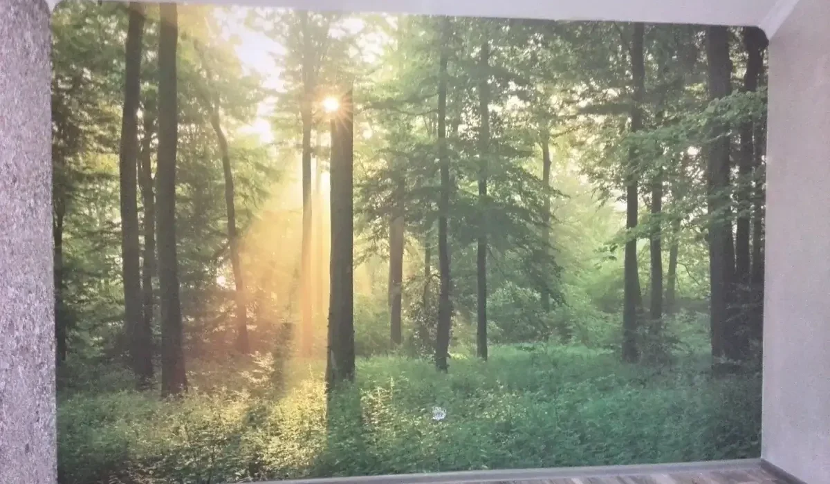 Pokleyka_fotoshpaler_lis